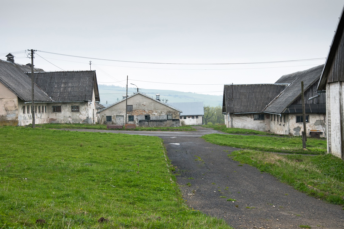 DSC_0355