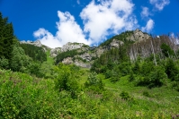 DSC00928