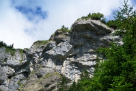 DSC00935