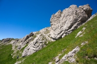 DSC00997