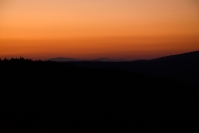 DSC_1020