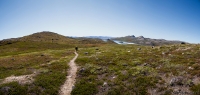 img_1405-panorama