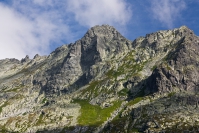 img_8447